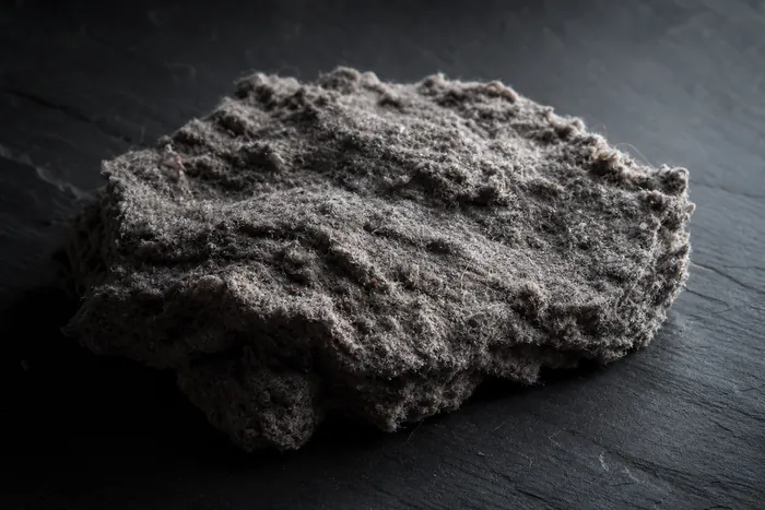 A thick felted mat of grey lint pulled out of a dryer vent duct